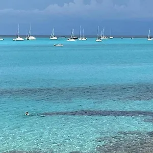 https://stintino-sea-front-apartments-a.in-sardinia.net