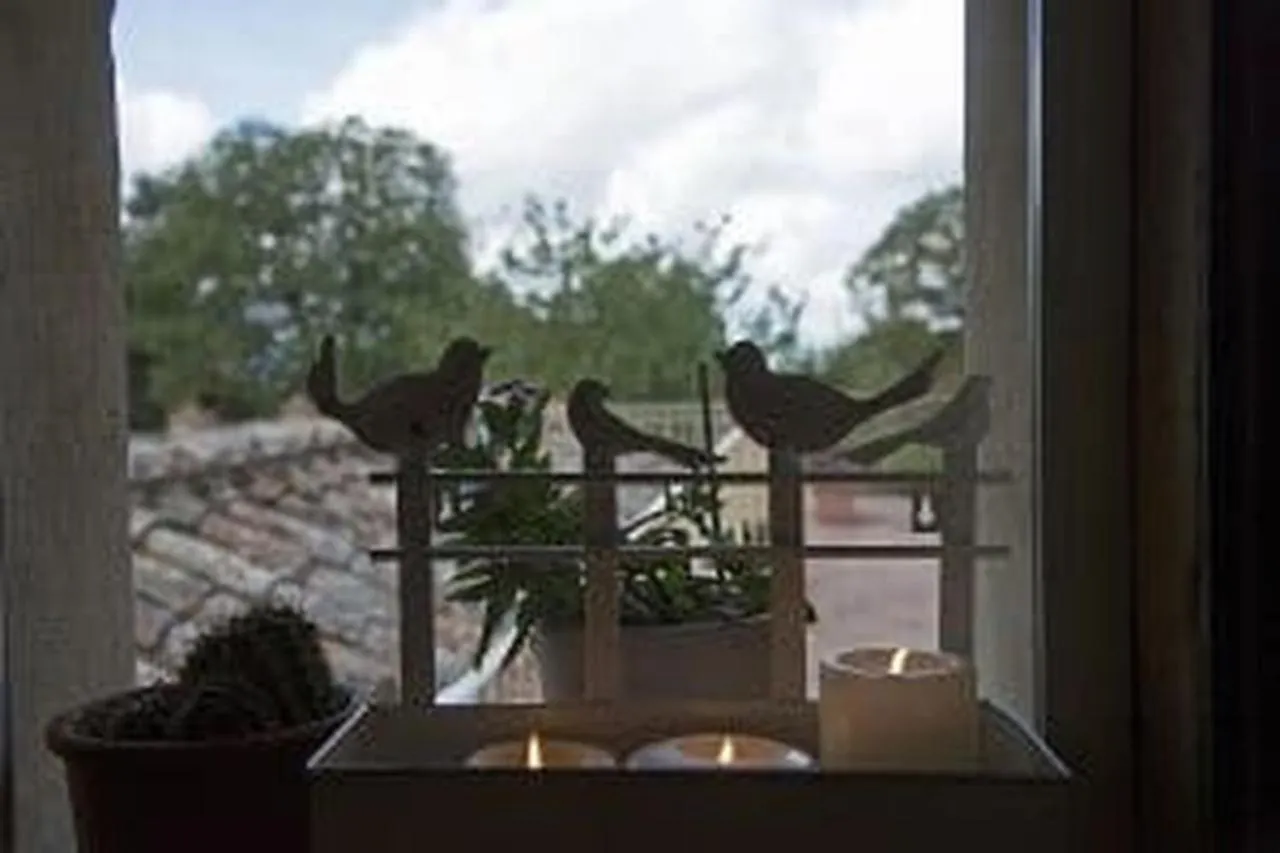 Agriturismo Poggio Ai Legni Sovicille Farm stay