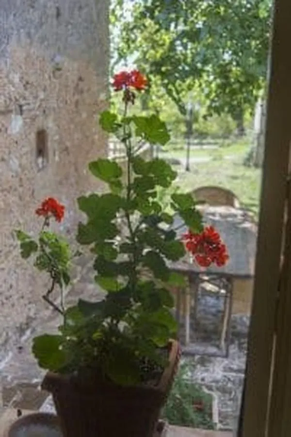 Agriturismo Poggio Ai Legni Sovicille
